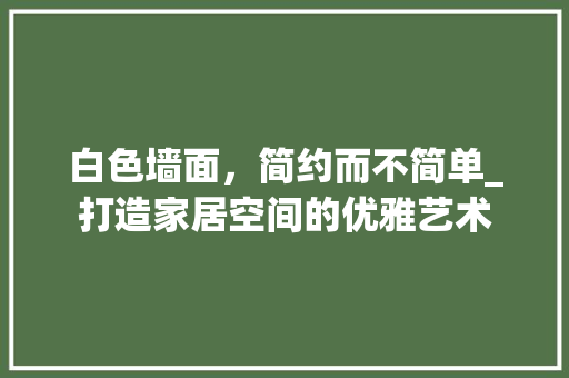 白色墙面，简约而不简单_打造家居空间的优雅艺术 施工技术
