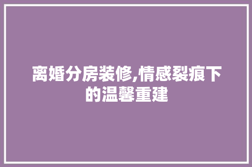 离婚分房装修,情感裂痕下的温馨重建 常用建材