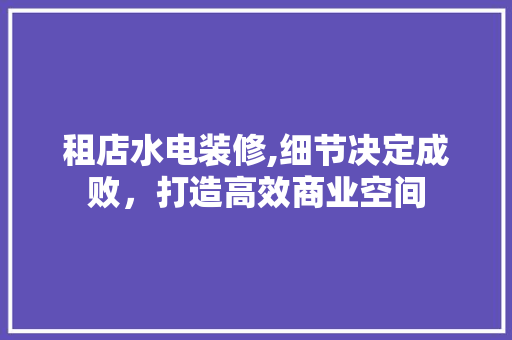 租店水电装修,细节决定成败，打造高效商业空间 建筑法规