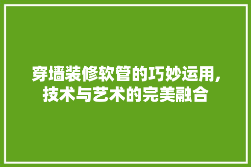 穿墙装修软管的巧妙运用,技术与艺术的完美融合 工艺流程