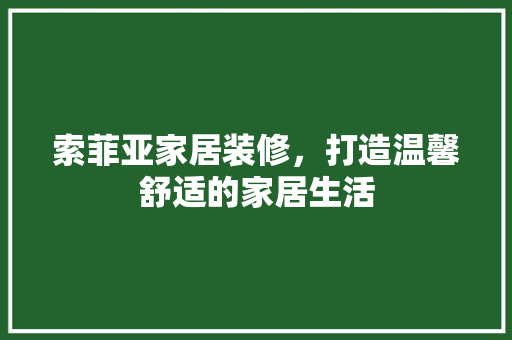 索菲亚家居装修，打造温馨舒适的家居生活 常用建材