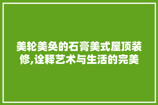 美轮美奂的石膏美式屋顶装修,诠释艺术与生活的完美融合 材料设备