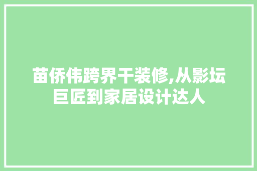 苗侨伟跨界干装修,从影坛巨匠到家居设计达人 设计原则