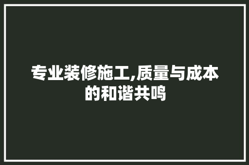 专业装修施工,质量与成本的和谐共鸣 施工工艺