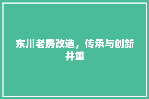 东川老房改造，传承与创新并重 生态建筑设计