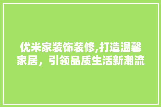 优米家装饰装修,打造温馨家居，引领品质生活新潮流 施工管理