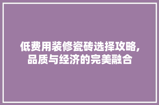 低费用装修瓷砖选择攻略,品质与经济的完美融合 建筑设计