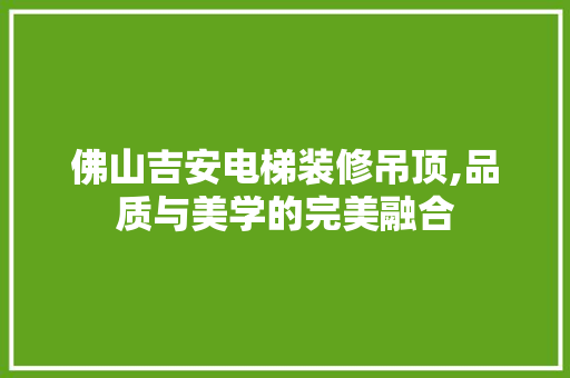 佛山吉安电梯装修吊顶,品质与美学的完美融合 常用设备