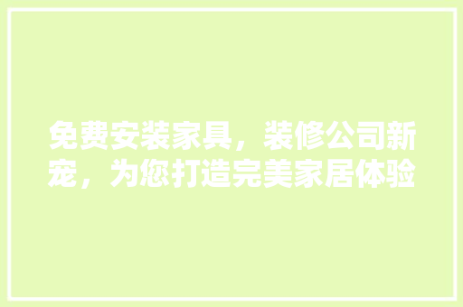 免费安装家具，装修公司新宠，为您打造完美家居体验 工艺流程