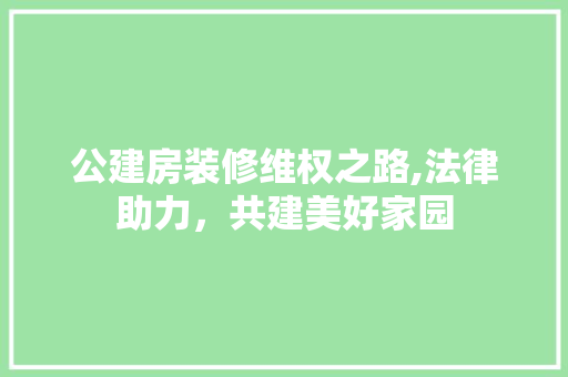 公建房装修维权之路,法律助力，共建美好家园 施工工艺