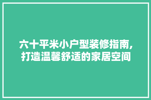 六十平米小户型装修指南,打造温馨舒适的家居空间 建筑设计