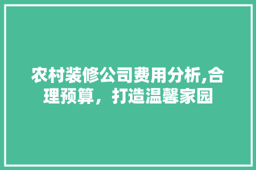 农村装修公司费用分析,合理预算，打造温馨家园 材料设备