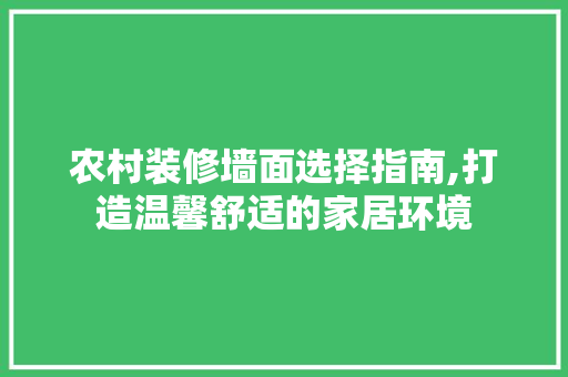 农村装修墙面选择指南,打造温馨舒适的家居环境 公共建筑设计