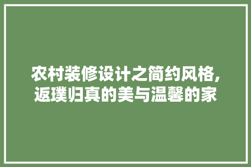 农村装修设计之简约风格,返璞归真的美与温馨的家 工艺流程