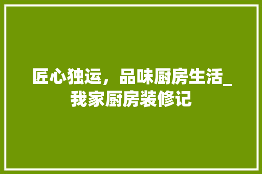 匠心独运，品味厨房生活_我家厨房装修记 常用设备