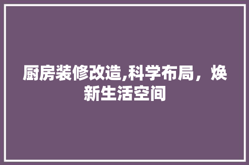 厨房装修改造,科学布局，焕新生活空间 工艺流程