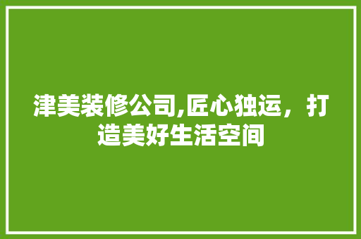 津美装修公司,匠心独运，打造美好生活空间 施工管理