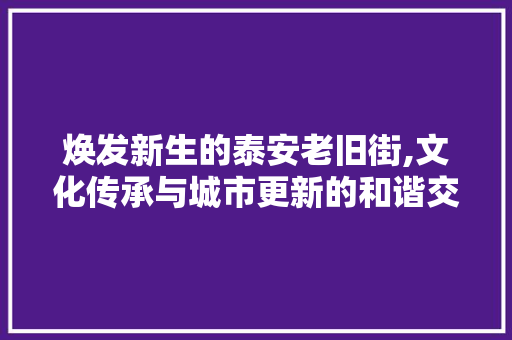 焕发新生的泰安老旧街,文化传承与城市更新的和谐交融 施工管理