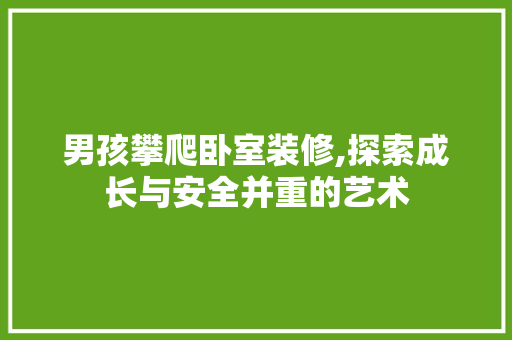 男孩攀爬卧室装修,探索成长与安全并重的艺术 施工管理