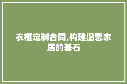 衣柜定制合同,构建温馨家居的基石 施工工艺