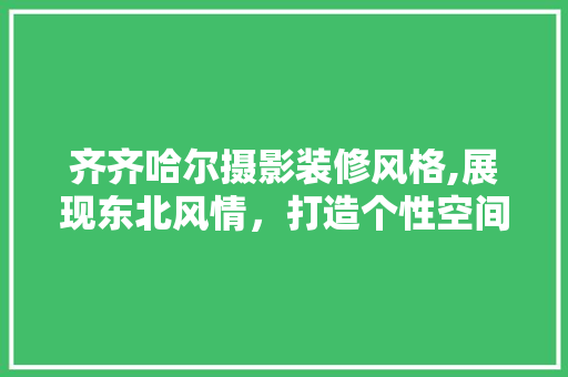 齐齐哈尔摄影装修风格,展现东北风情，打造个性空间 公共建筑设计