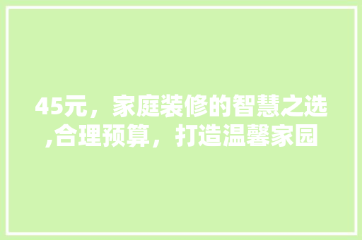 45元，家庭装修的智慧之选,合理预算，打造温馨家园 材料设备