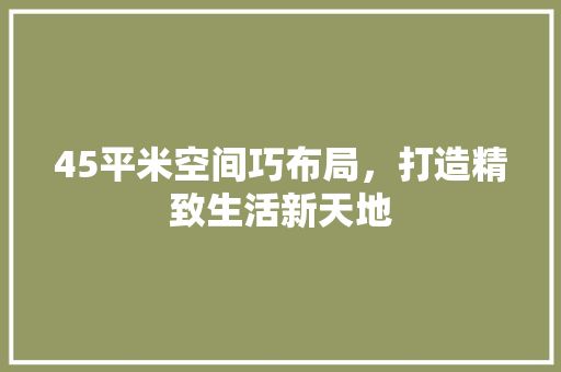 45平米空间巧布局，打造精致生活新天地 新型材料