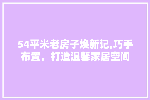 54平米老房子焕新记,巧手布置，打造温馨家居空间 建筑法规