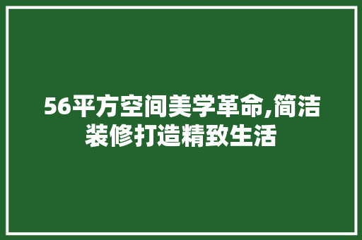 56平方空间美学革命,简洁装修打造精致生活 知识问答