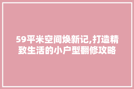 59平米空间焕新记,打造精致生活的小户型翻修攻略 材料设备