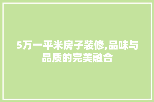 5万一平米房子装修,品味与品质的完美融合 工艺流程