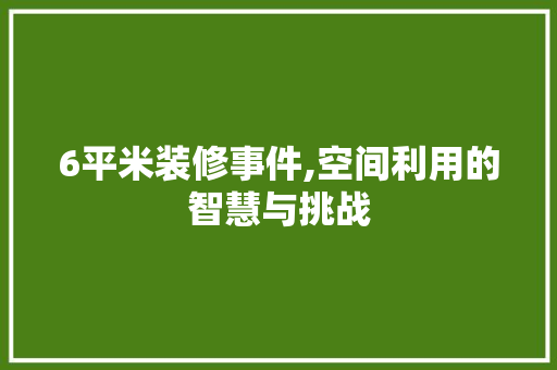 6平米装修事件,空间利用的智慧与挑战 施工管理