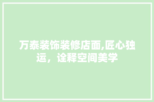 万泰装饰装修店面,匠心独运，诠释空间美学 施工技术
