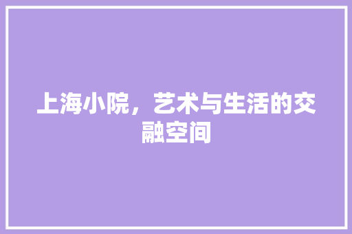 上海小院，艺术与生活的交融空间 材料设备