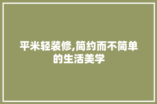 平米轻装修,简约而不简单的生活美学 常用设备