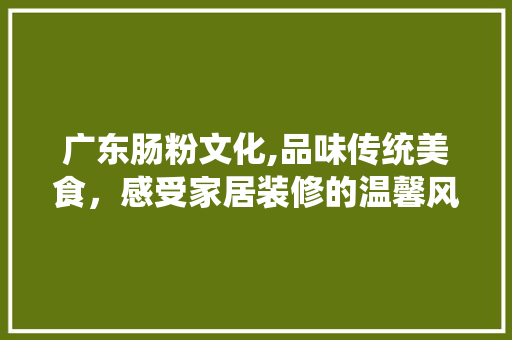 广东肠粉文化,品味传统美食，感受家居装修的温馨风情 材料设备