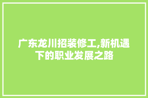广东龙川招装修工,新机遇下的职业发展之路 材料设备