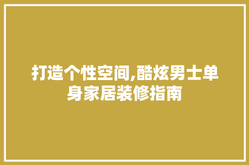 打造个性空间,酷炫男士单身家居装修指南 常用设备