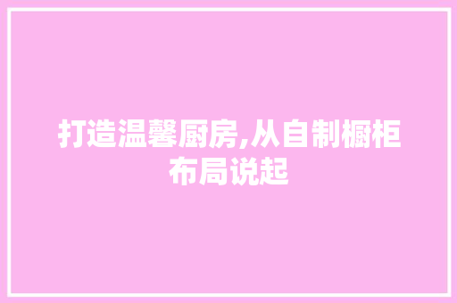 打造温馨厨房,从自制橱柜布局说起 施工管理