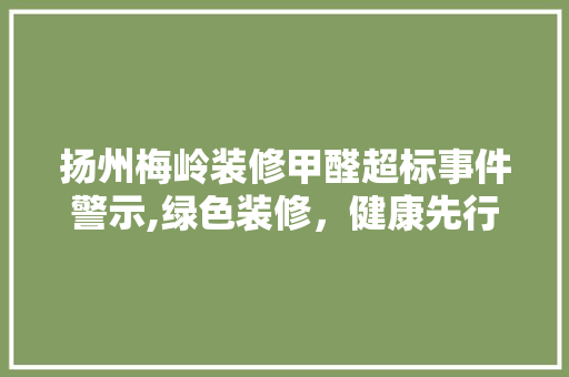 扬州梅岭装修甲醛超标事件警示,绿色装修，健康先行 材料设备