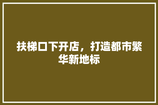 扶梯口下开店，打造都市繁华新地标 工艺流程