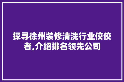 探寻徐州装修清洗行业佼佼者,介绍排名领先公司 工艺流程