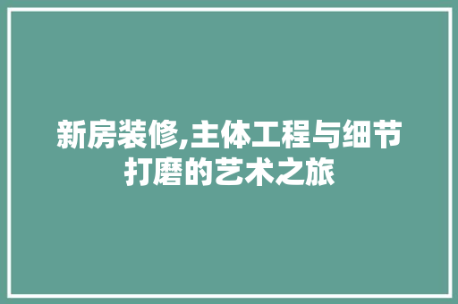 新房装修,主体工程与细节打磨的艺术之旅 施工管理