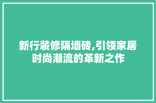 新行装修隔墙砖,引领家居时尚潮流的革新之作 材料设备