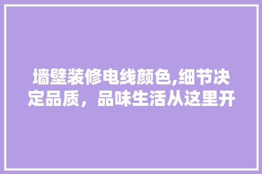 墙壁装修电线颜色,细节决定品质，品味生活从这里开始 施工工艺