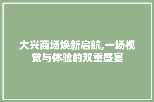 大兴商场焕新启航,一场视觉与体验的双重盛宴 公共建筑设计