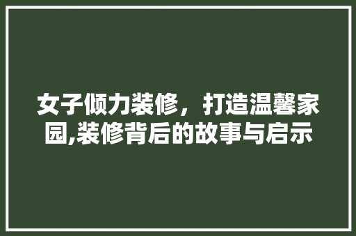 女子倾力装修，打造温馨家园,装修背后的故事与启示 工艺流程