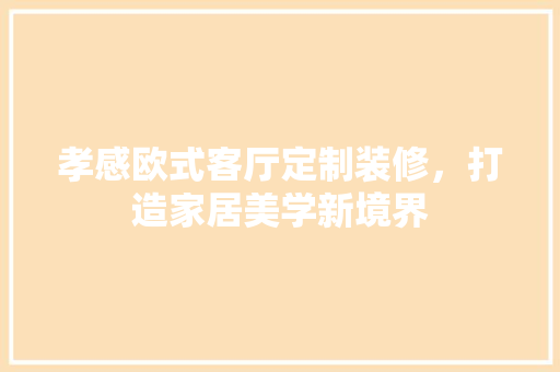 孝感欧式客厅定制装修，打造家居美学新境界 工艺流程