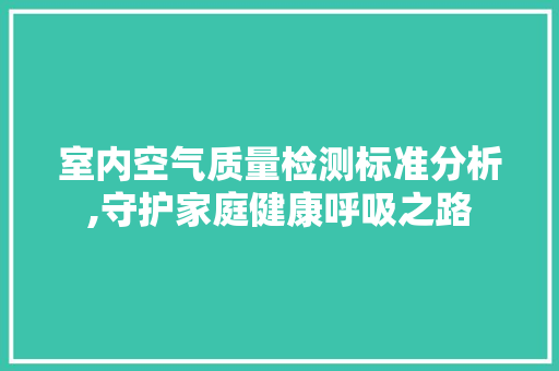 室内空气质量检测标准分析,守护家庭健康呼吸之路 工艺流程