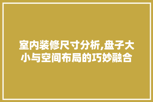 室内装修尺寸分析,盘子大小与空间布局的巧妙融合 设计原则